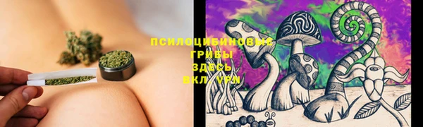 spice Покровск
