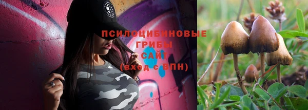 не бодяженный Покачи