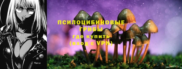 не бодяженный Покачи