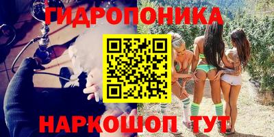 стафф Бийск