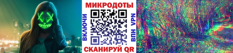 закладка  Выборг  Псилоцибиновые грибы мицелий 