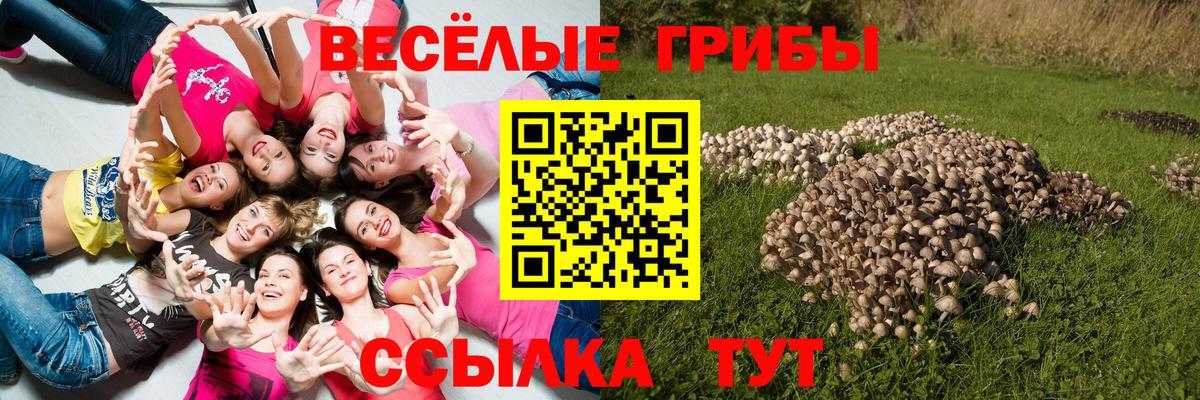 Выборг  Галлюциногенные грибы Magic Shrooms  Вход с VPN 