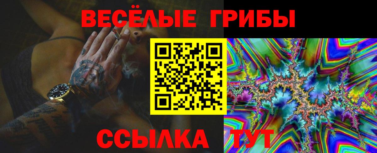 Псилоцибиновые грибы мухоморы Выборг