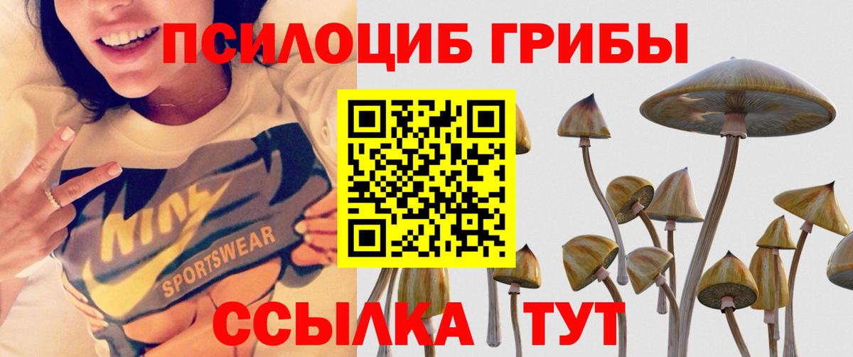ГАШИШ Выборг