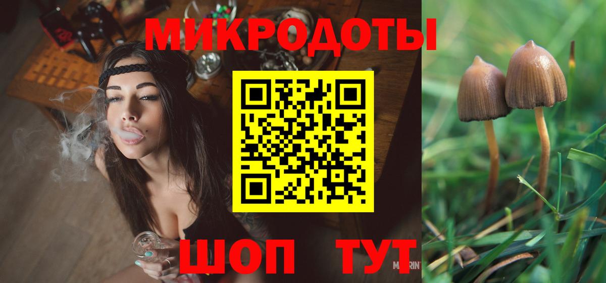 Галлюциногенные грибы мицелий  Выборг  Галлюциногенные грибы прущие грибы 