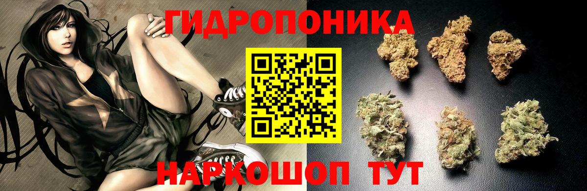 Бошки марихуана Bruce Banner Выборг
